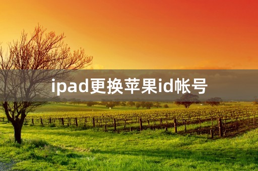 ipad更换苹果id帐号