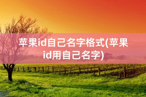 苹果id自己名字格式(苹果id用自己名字)