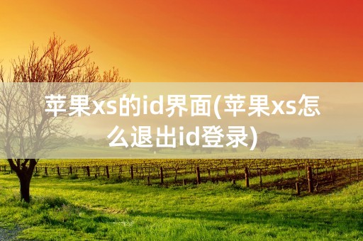 苹果xs的id界面(苹果xs怎么退出id登录)