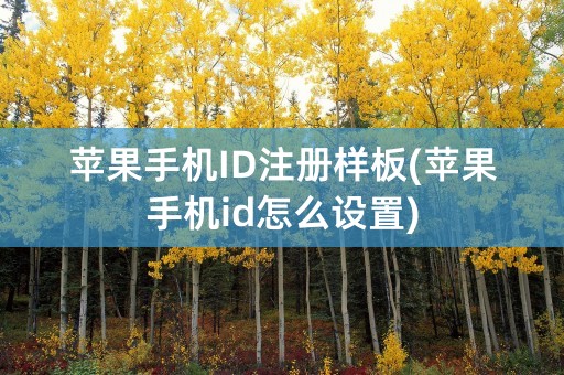 苹果手机ID注册样板(苹果手机id怎么设置)