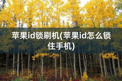 苹果id锁刷机(苹果id怎么锁住手机)