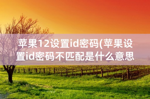 苹果12设置id密码(苹果设置id密码不匹配是什么意思)