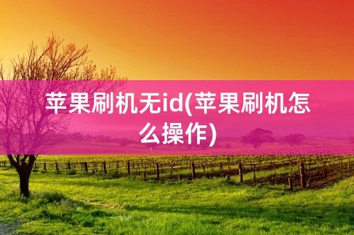 苹果刷机无id(苹果刷机怎么操作)