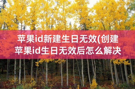 苹果id新建生日无效(创建苹果id生日无效后怎么解决)