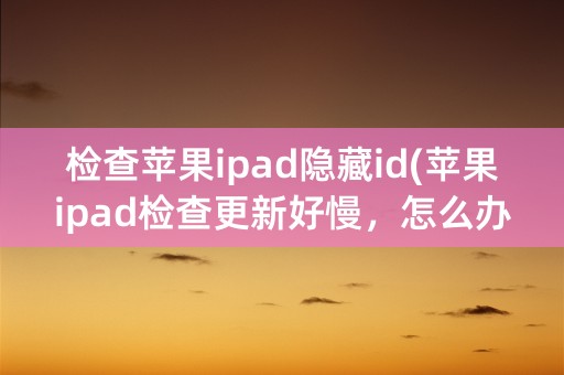 检查苹果ipad隐藏id(苹果ipad检查更新好慢，怎么办)