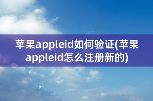 苹果appleid如何验证(苹果appleid怎么注册新的)