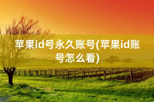 苹果id号永久账号(苹果id账号怎么看)