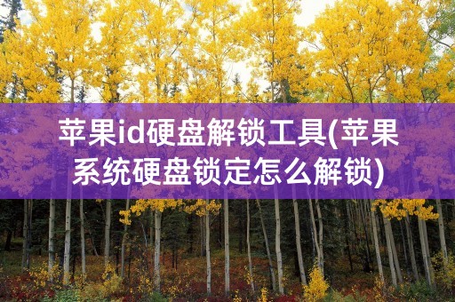 苹果id硬盘解锁工具(苹果系统硬盘锁定怎么解锁)