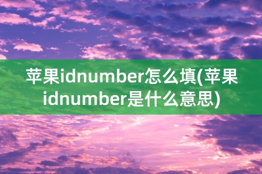 苹果idnumber怎么填(苹果idnumber是什么意思)