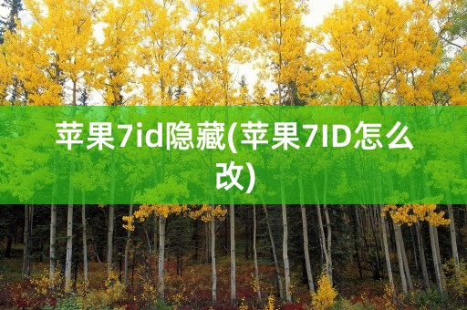 苹果7id隐藏(苹果7ID怎么改)