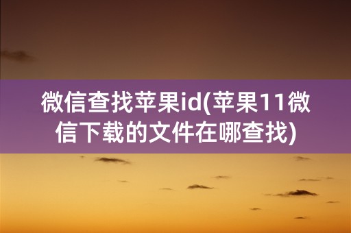 微信查找苹果id(苹果11微信下载的文件在哪查找)