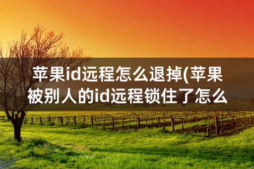 苹果id远程怎么退掉(苹果被别人的id远程锁住了怎么办)