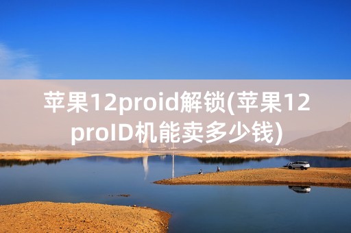 苹果12proid解锁(苹果12proID机能卖多少钱)