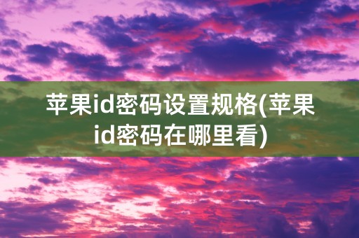 苹果id密码设置规格(苹果id密码在哪里看)