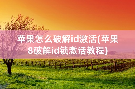 苹果怎么破解id激活(苹果8破解id锁激活教程)