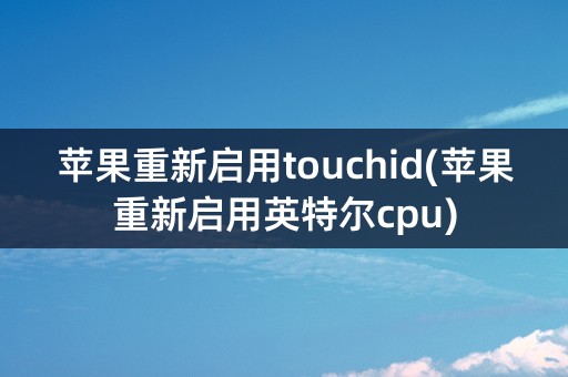 苹果重新启用touchid(苹果重新启用英特尔cpu)