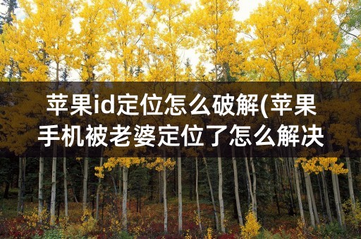 苹果id定位怎么破解(苹果手机被老婆定位了怎么解决破解)