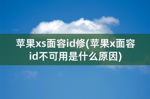 苹果xs面容id修(苹果x面容id不可用是什么原因)