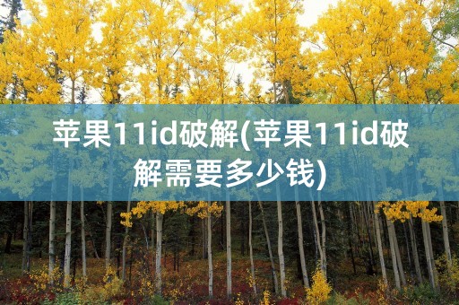 苹果11id破解(苹果11id破解需要多少钱)