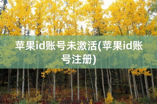 苹果id账号未激活(苹果id账号注册)