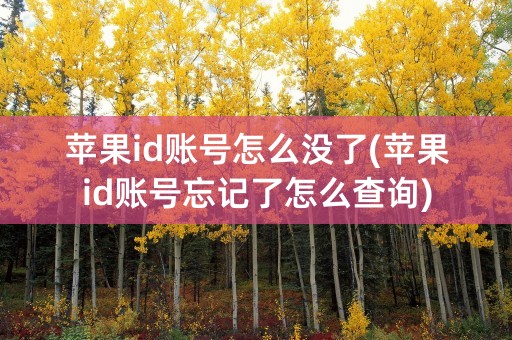 苹果id账号怎么没了(苹果id账号忘记了怎么查询)