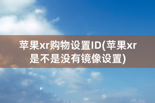 苹果xr购物设置ID(苹果xr是不是没有镜像设置)