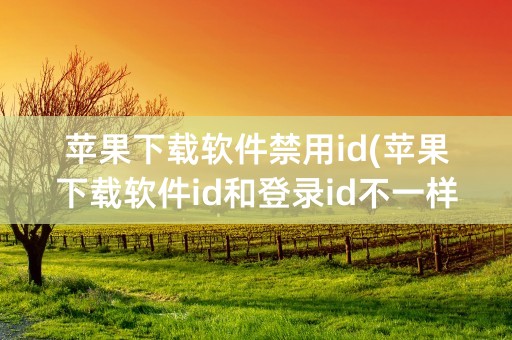 苹果下载软件禁用id(苹果下载软件id和登录id不一样)