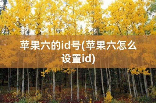 苹果六的id号(苹果六怎么设置id)