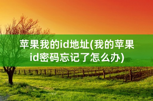 苹果我的id地址(我的苹果id密码忘记了怎么办)