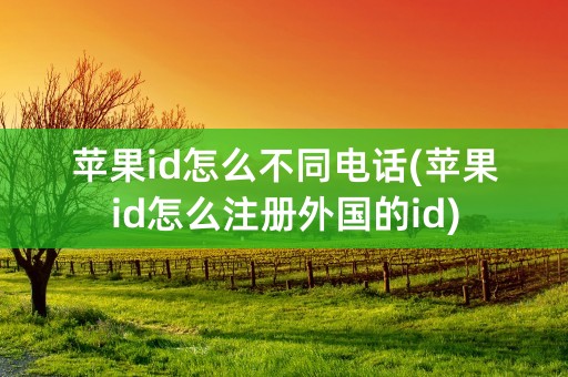 苹果id怎么不同电话(苹果id怎么注册外国的id)