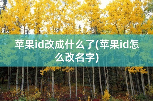 苹果id改成什么了(苹果id怎么改名字)