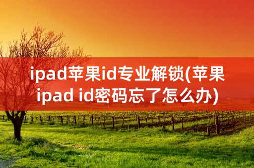 ipad苹果id专业解锁(苹果ipad id密码忘了怎么办)