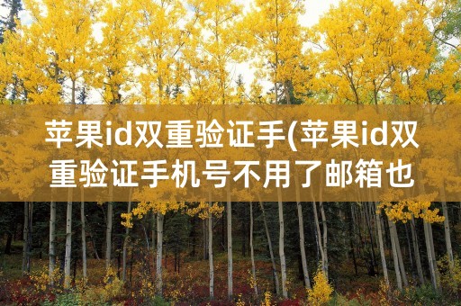 苹果id双重验证手(苹果id双重验证手机号不用了邮箱也没法解绑)