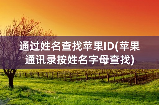 通过姓名查找苹果ID(苹果通讯录按姓名字母查找)