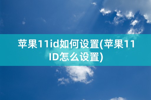 苹果11id如何设置(苹果11ID怎么设置)