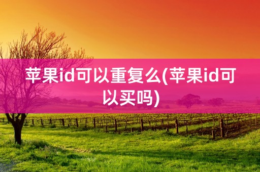 苹果id可以重复么(苹果id可以买吗)