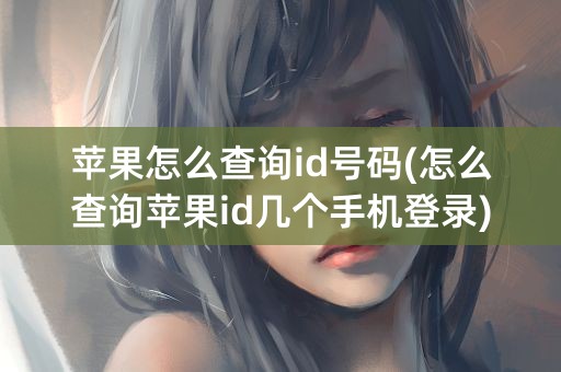 苹果怎么查询id号码(怎么查询苹果id几个手机登录)