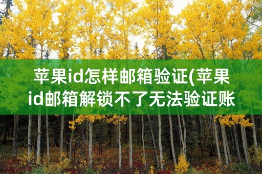 苹果id怎样邮箱验证(苹果id邮箱解锁不了无法验证账户)