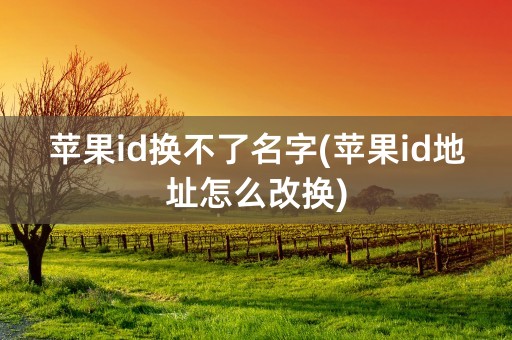 苹果id换不了名字(苹果id地址怎么改换)