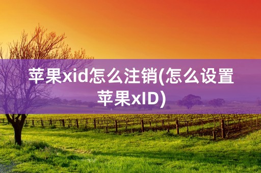 苹果xid怎么注销(怎么设置苹果xID)