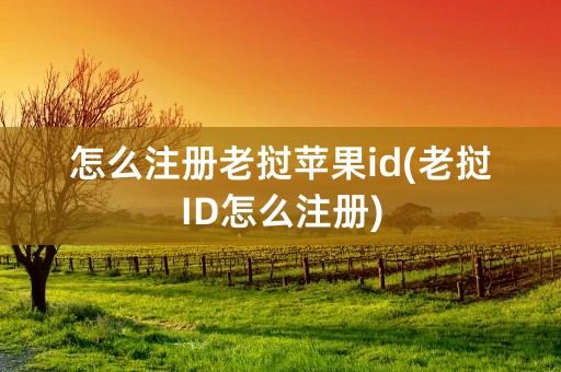 怎么注册老挝苹果id(老挝ID怎么注册)