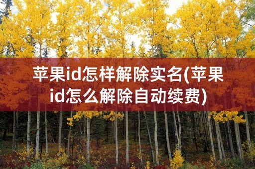 苹果id怎样解除实名(苹果id怎么解除自动续费)