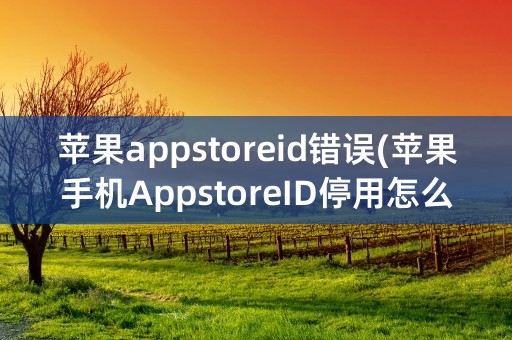 苹果appstoreid错误(苹果手机AppstoreID停用怎么办)