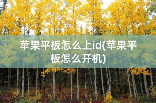 苹果平板怎么上id(苹果平板怎么开机)