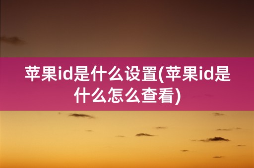 苹果id是什么设置(苹果id是什么怎么查看)