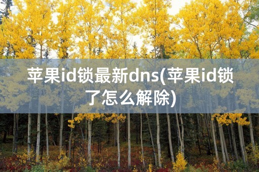 苹果id锁最新dns(苹果id锁了怎么解除)