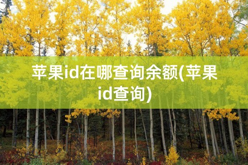 苹果id在哪查询余额(苹果id查询)