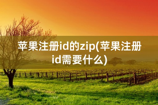 苹果注册id的zip(苹果注册id需要什么)