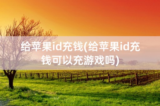 给苹果id充钱(给苹果id充钱可以充游戏吗)