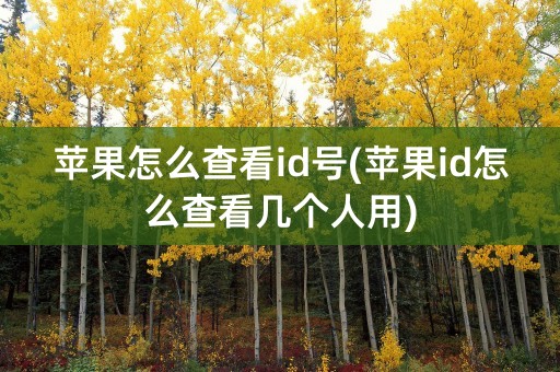 苹果怎么查看id号(苹果id怎么查看几个人用)